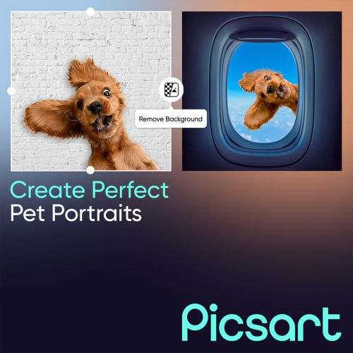 Picart Pets