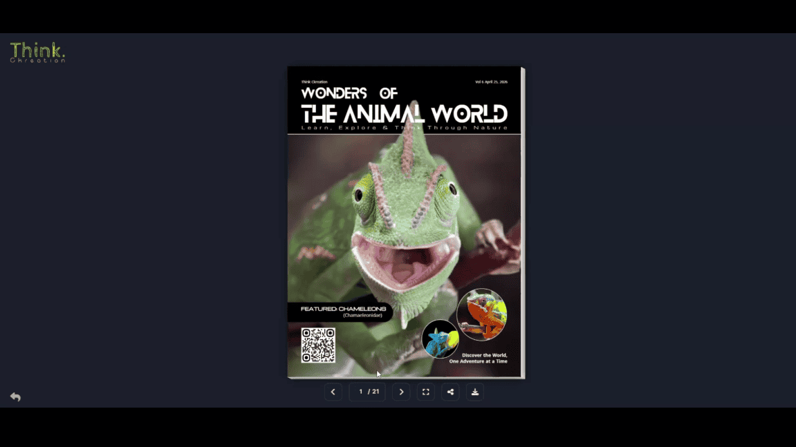 Project Pdf Showcase
